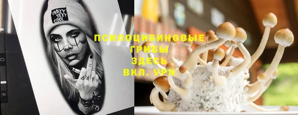 шишки Ростов