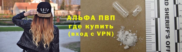 шишки Ростов