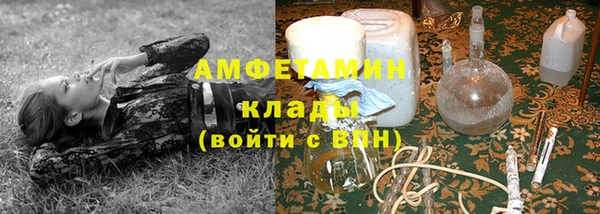 шишки Ростов