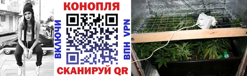 Марихуана гибрид Урень